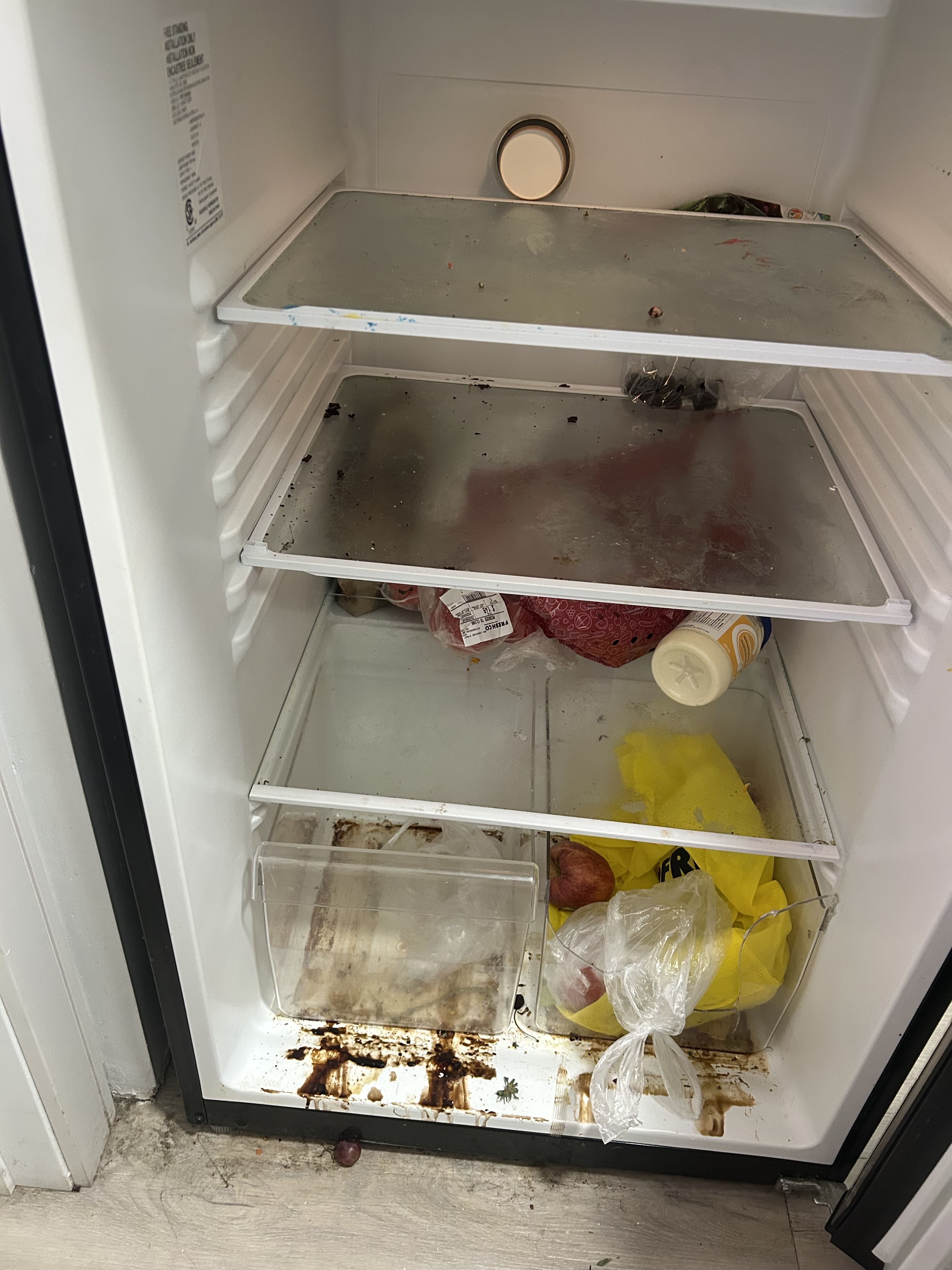 Before cleaning — fridge3