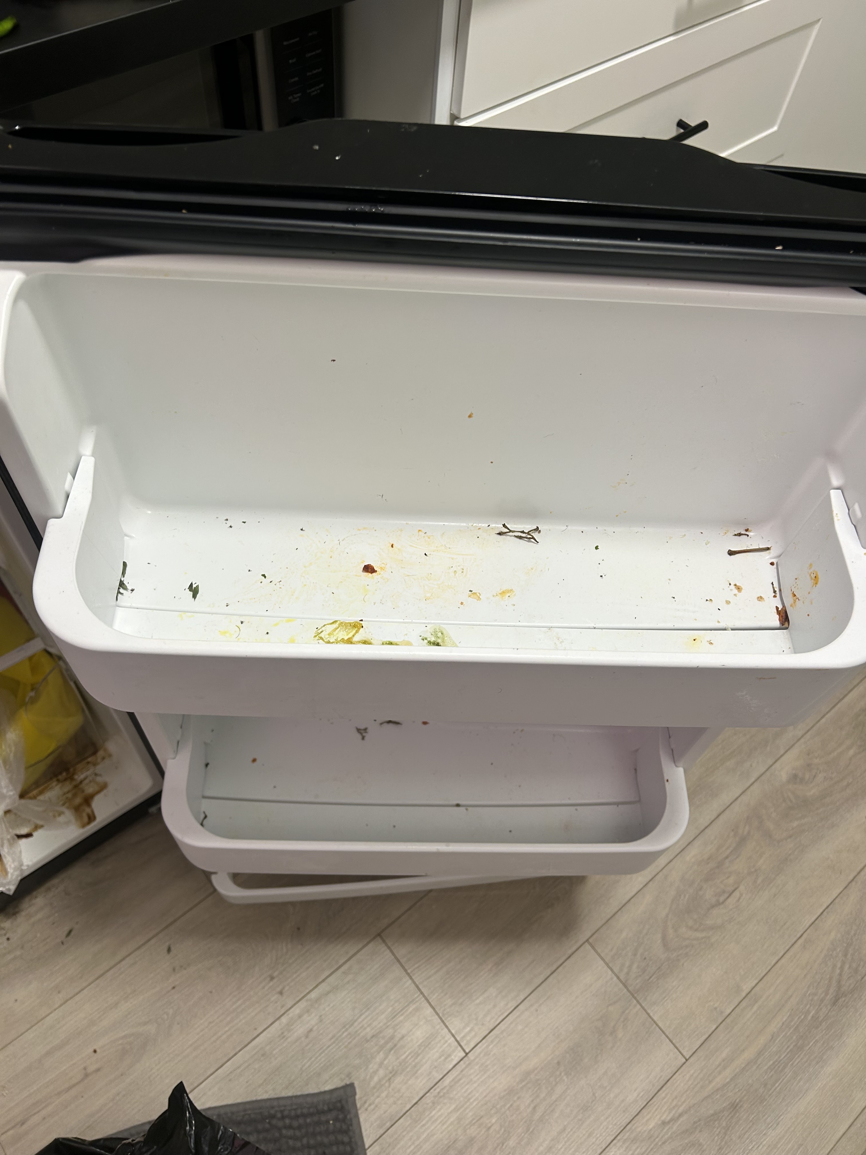 Before cleaning — fridge4