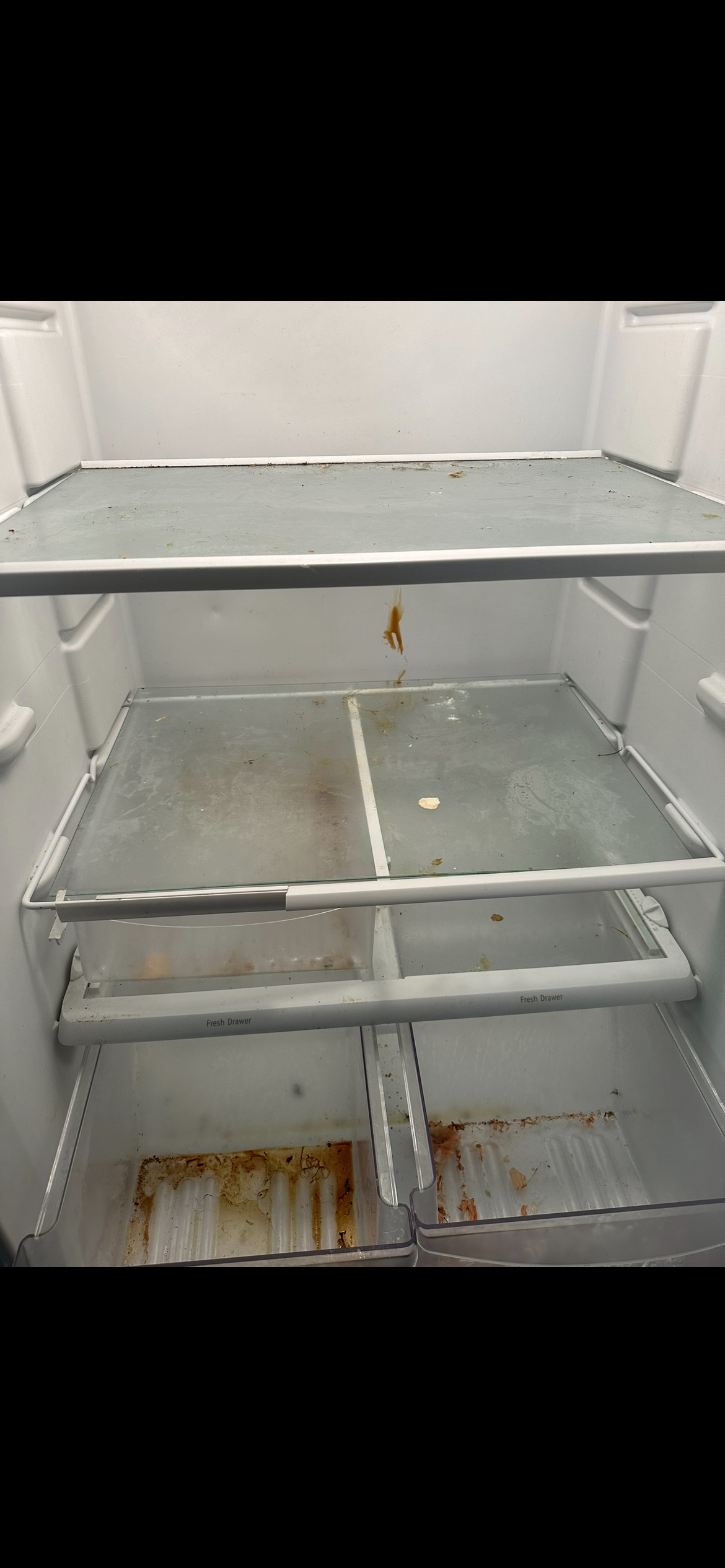 Before cleaning — fridge1