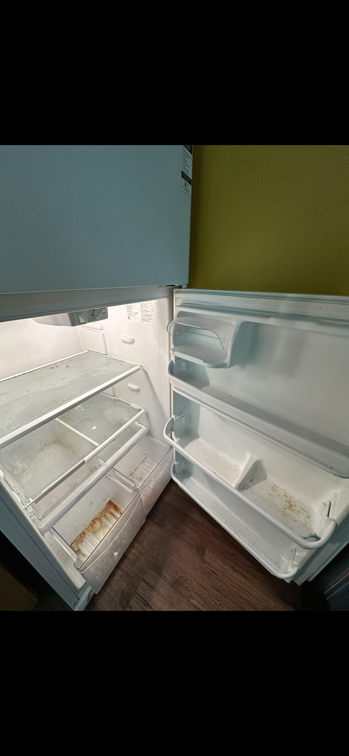 Before cleaning — fridge2
