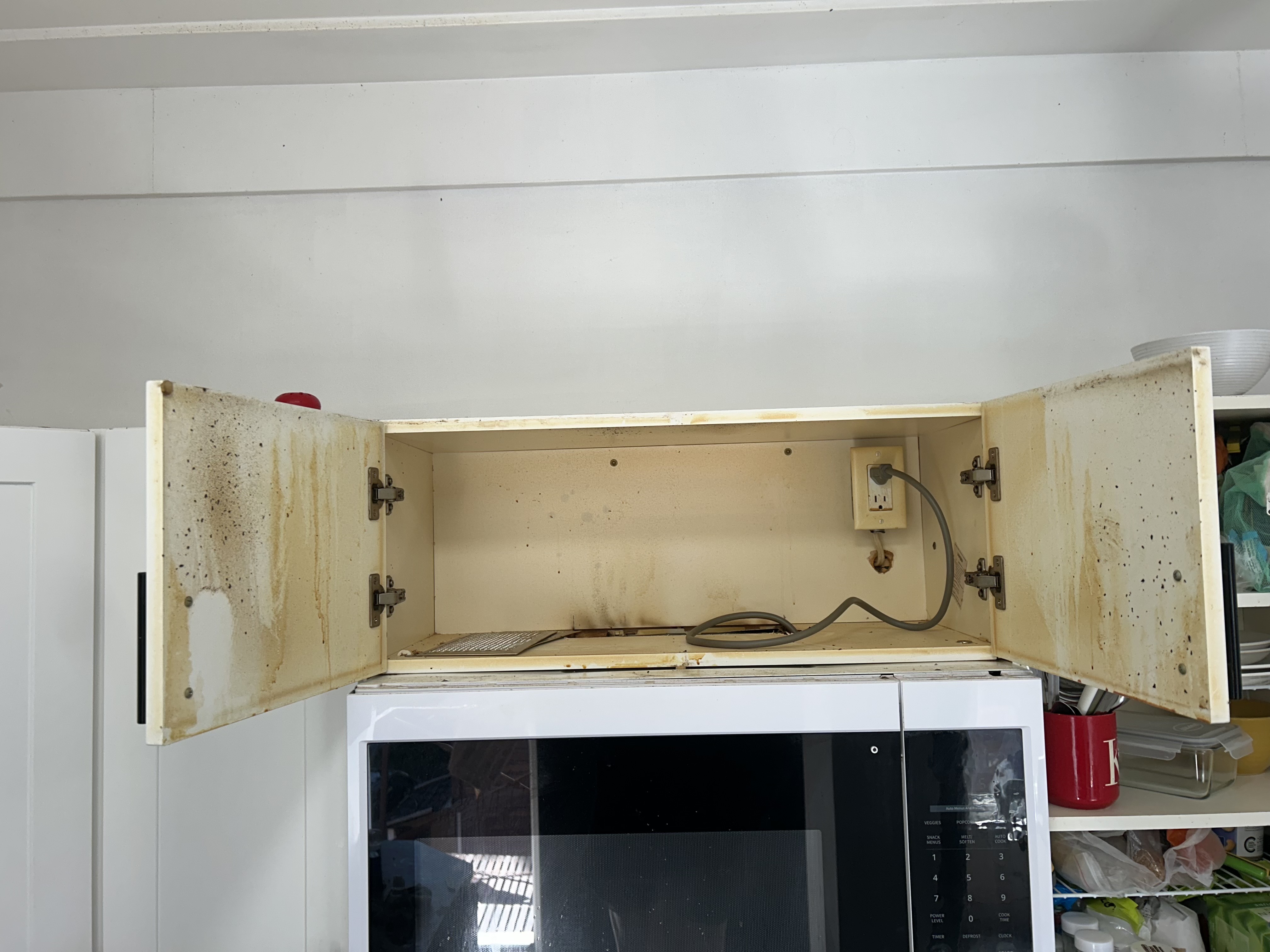 Before cleaning — mircowave1