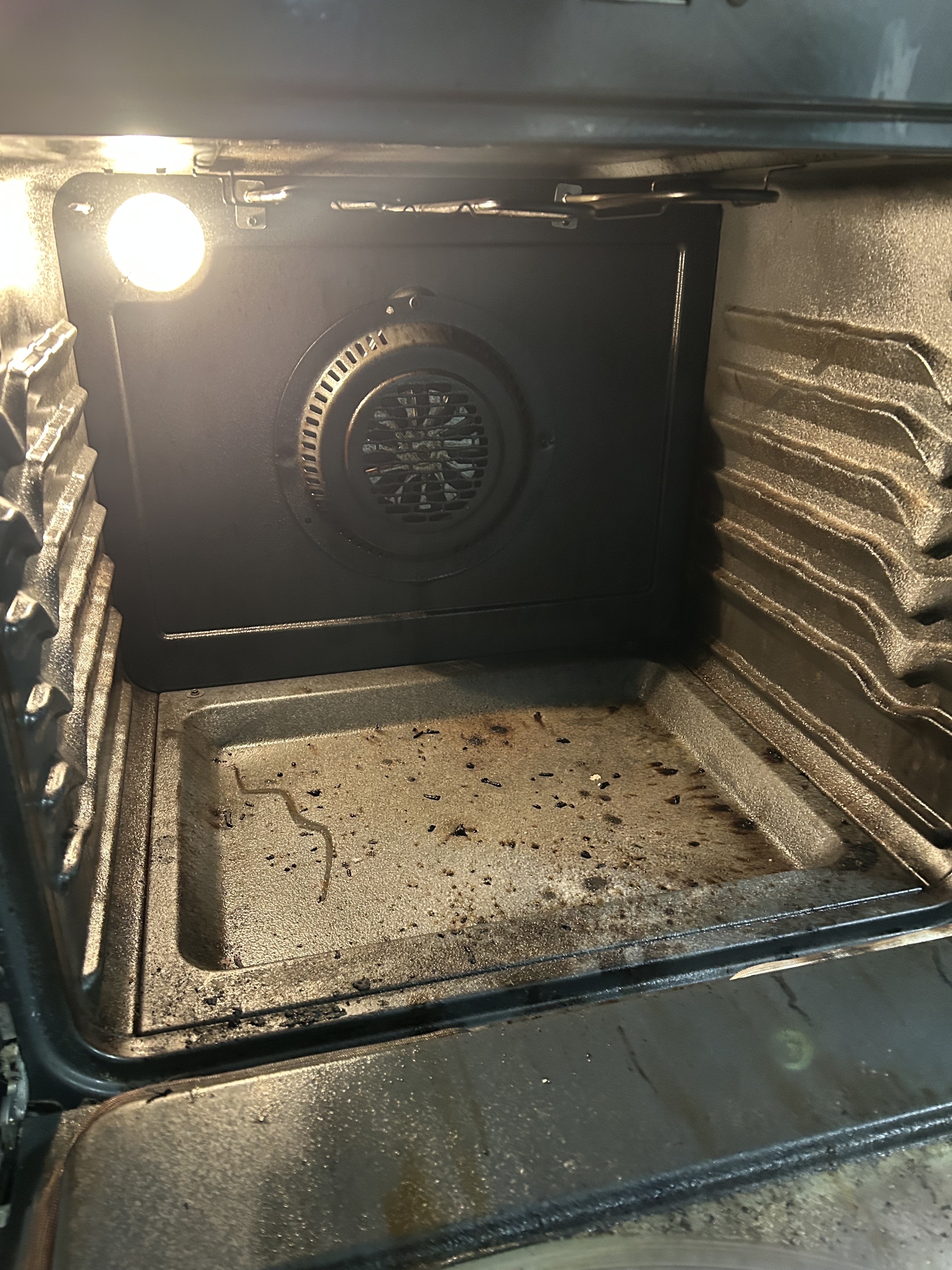 Before cleaning — oven1