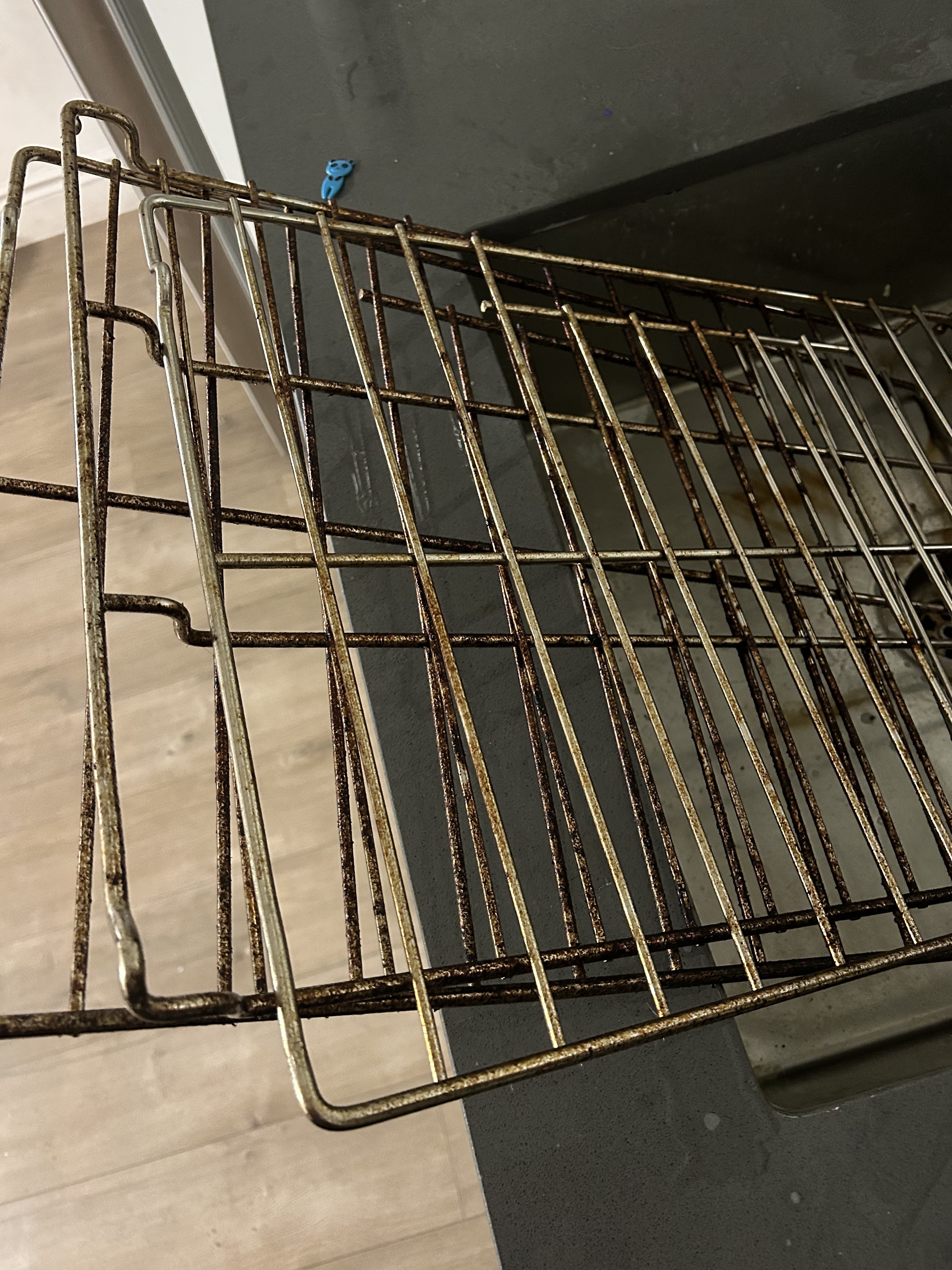 Before cleaning — oven2