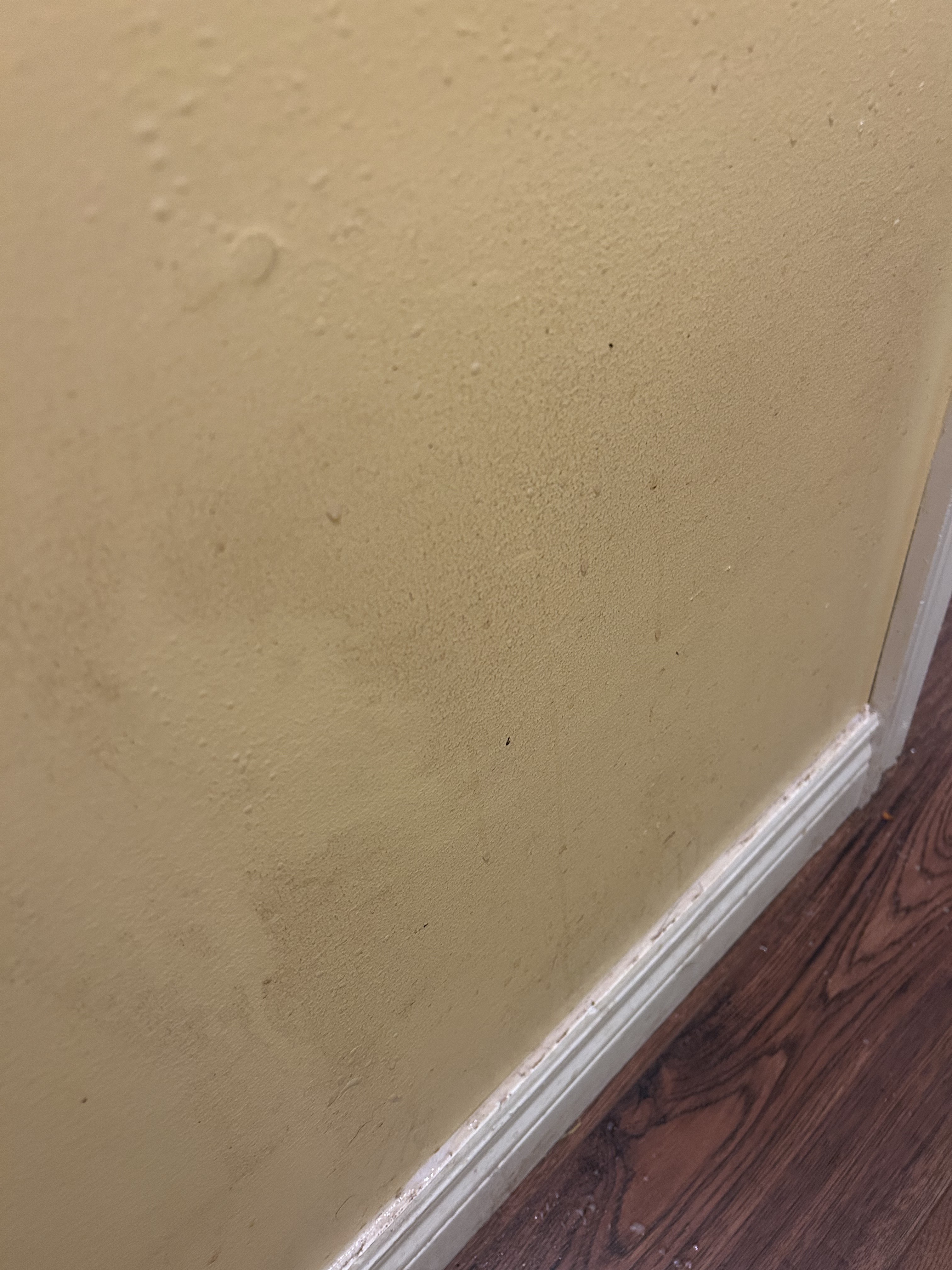 Before cleaning — wall2